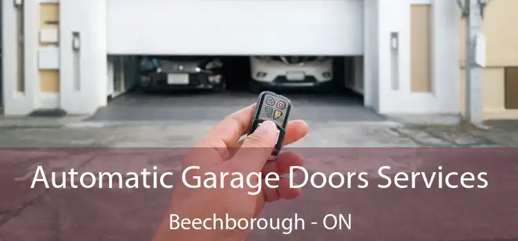  Automatic Garage Doors Services Beechborough - ON