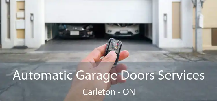  Automatic Garage Doors Services Carleton - ON