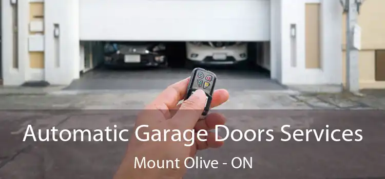  Automatic Garage Doors Services Mount Olive - ON