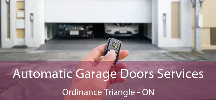  Automatic Garage Doors Services Ordinance Triangle - ON