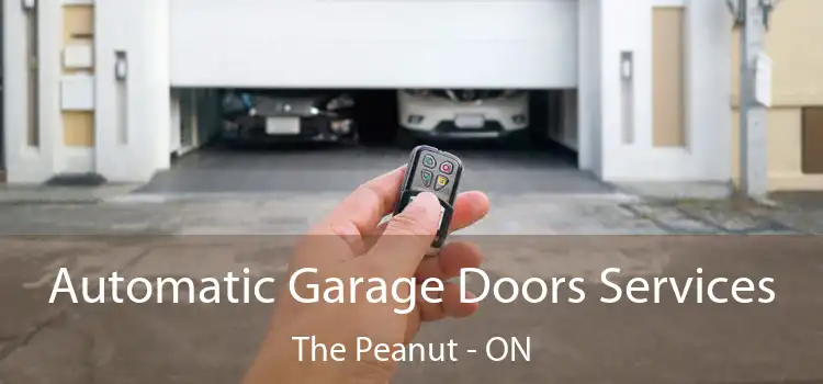  Automatic Garage Doors Services The Peanut - ON