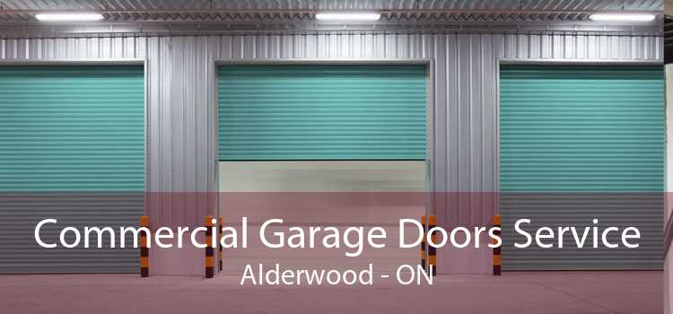 Commercial Garage Doors Service Alderwood - ON