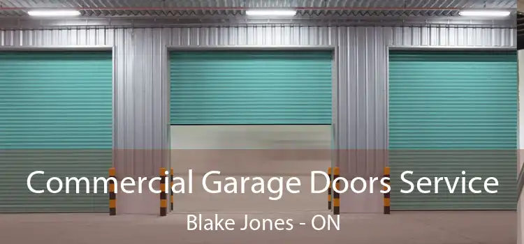  Commercial Garage Doors Service Blake Jones - ON