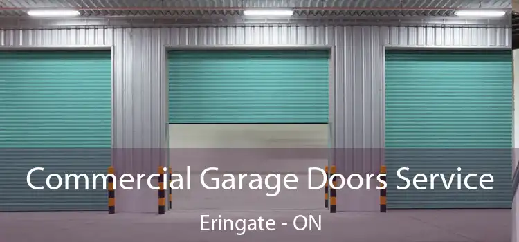  Commercial Garage Doors Service Eringate - ON