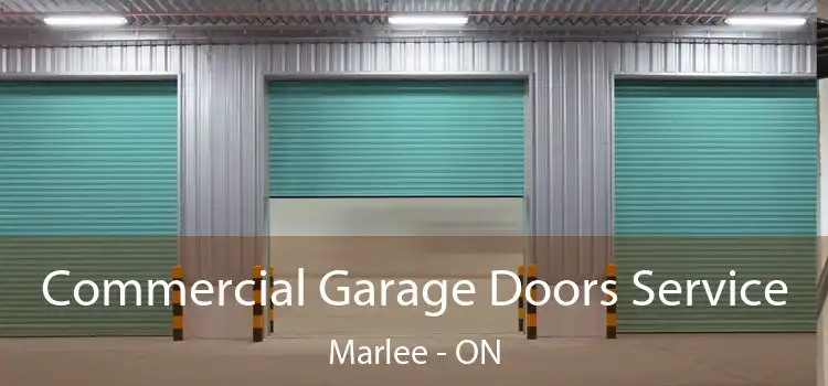  Commercial Garage Doors Service Marlee - ON