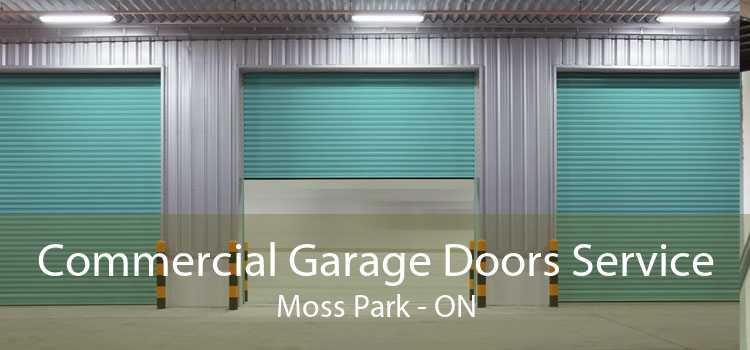 Commercial Garage Doors Service Moss Park - ON