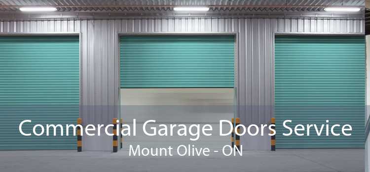 Commercial Garage Doors Service Mount Olive - ON