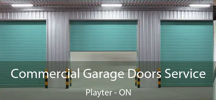  Commercial Garage Doors Service Playter - ON