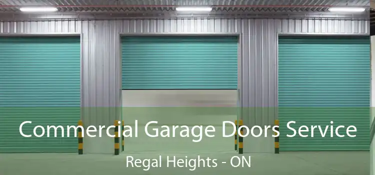  Commercial Garage Doors Service Regal Heights - ON