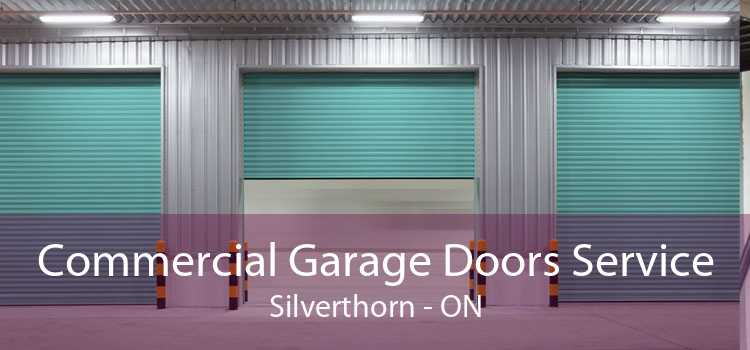 Commercial Garage Doors Service Silverthorn - ON