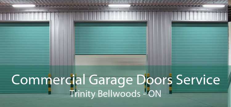 Commercial Garage Doors Service Trinity Bellwoods - ON