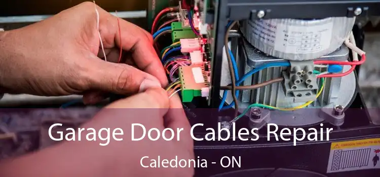  Garage Door Cables Repair Caledonia - ON