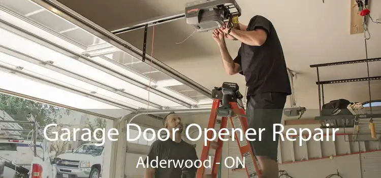  Garage Door Opener Repair Alderwood - ON