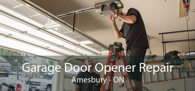 Garage Door Opener Repair Amesbury - ON