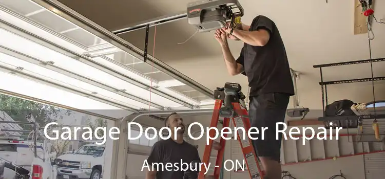  Garage Door Opener Repair Amesbury - ON