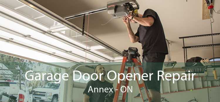 Garage Door Opener Repair Annex - ON