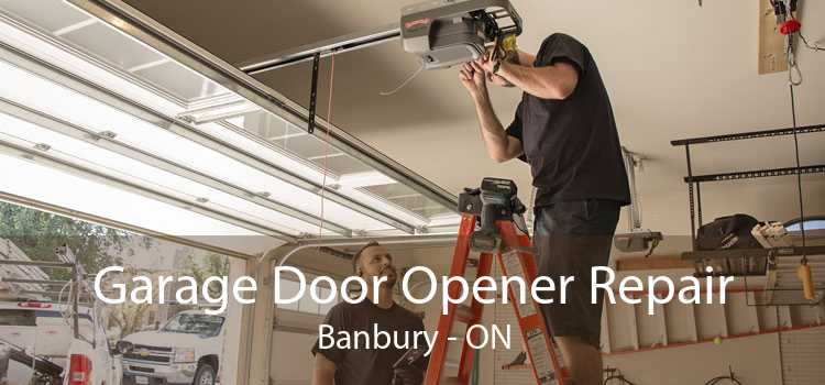 Garage Door Opener Repair Banbury - ON
