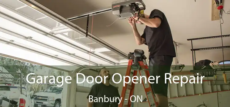  Garage Door Opener Repair Banbury - ON