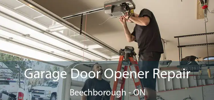  Garage Door Opener Repair Beechborough - ON