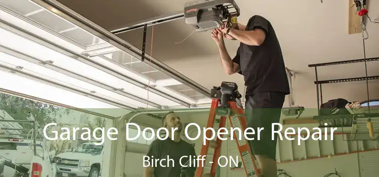 Garage Door Opener Repair Birch Cliff - ON