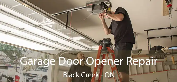  Garage Door Opener Repair Black Creek - ON