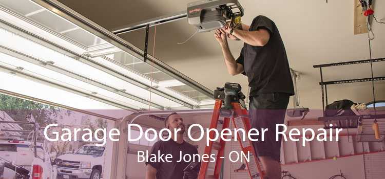 Garage Door Opener Repair Blake Jones - ON