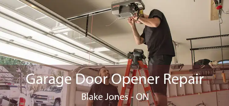  Garage Door Opener Repair Blake Jones - ON