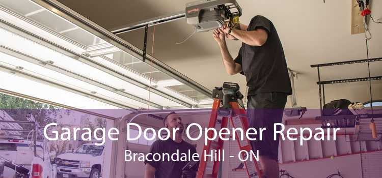 Garage Door Opener Repair Bracondale Hill - ON