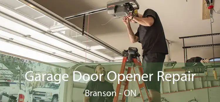  Garage Door Opener Repair Branson - ON