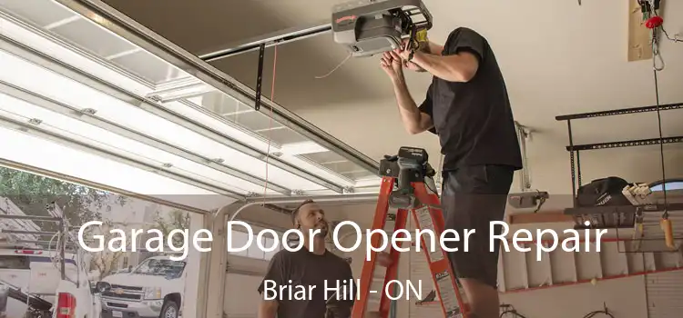  Garage Door Opener Repair Briar Hill - ON