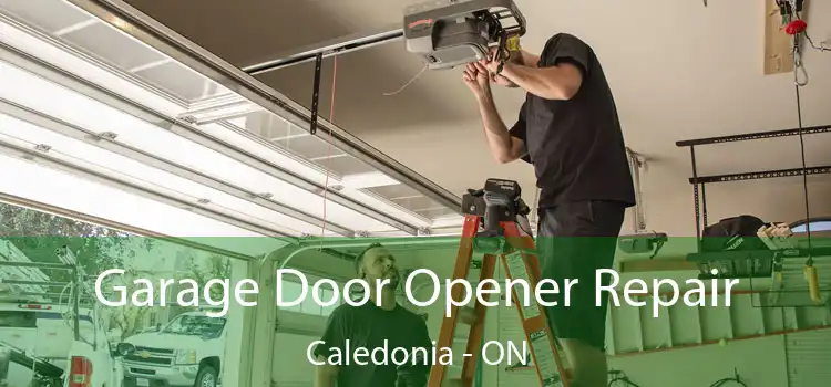  Garage Door Opener Repair Caledonia - ON