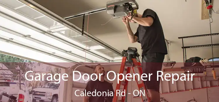  Garage Door Opener Repair Caledonia Rd - ON