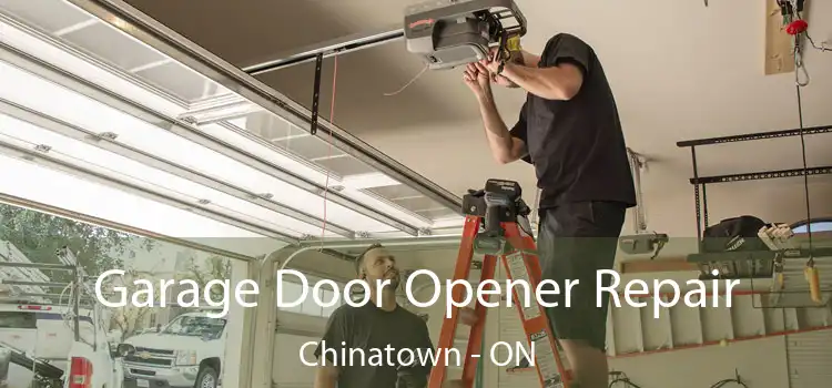  Garage Door Opener Repair Chinatown - ON