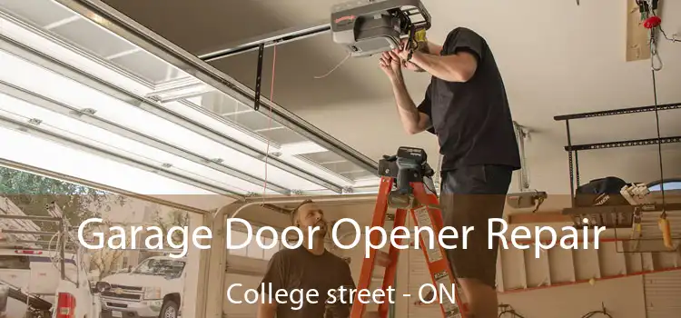  Garage Door Opener Repair College street - ON