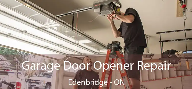  Garage Door Opener Repair Edenbridge - ON