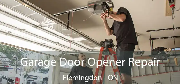  Garage Door Opener Repair Flemingdon - ON