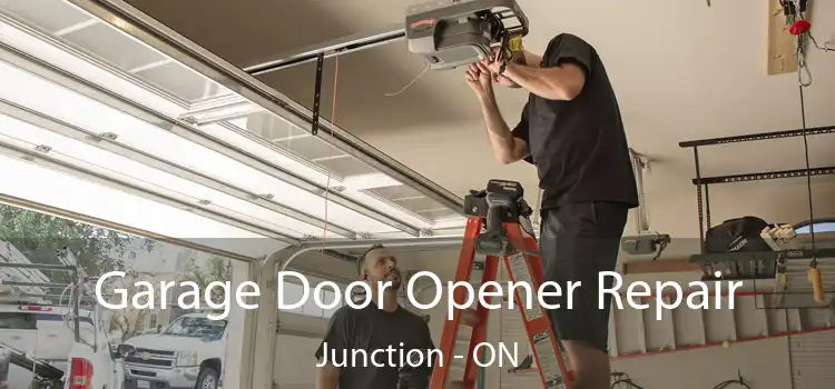  Garage Door Opener Repair Junction - ON