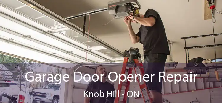  Garage Door Opener Repair Knob Hill - ON