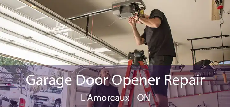  Garage Door Opener Repair L'Amoreaux - ON