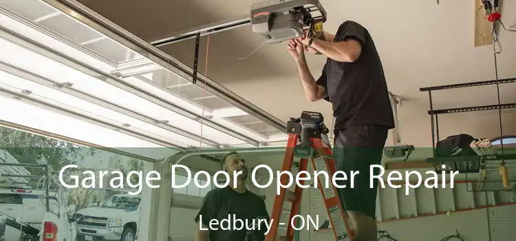  Garage Door Opener Repair Ledbury - ON