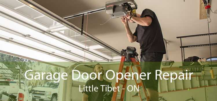 Garage Door Opener Repair Little Tibet - ON