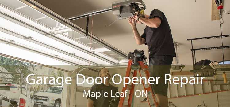 Garage Door Opener Repair Maple Leaf - ON