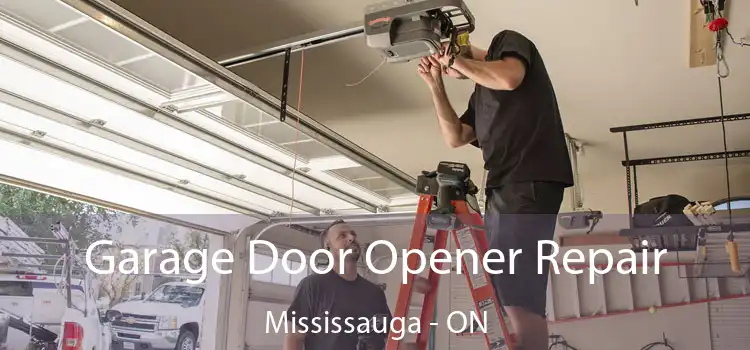  Garage Door Opener Repair Mississauga - ON