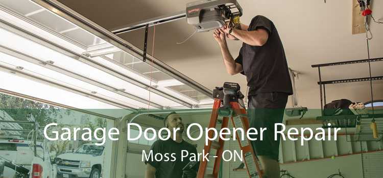 Garage Door Opener Repair Moss Park - ON