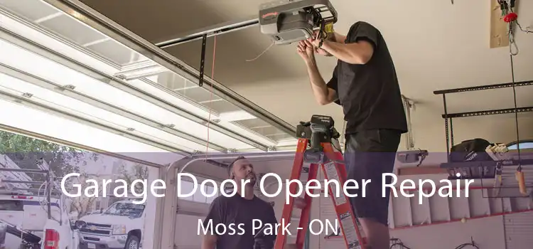  Garage Door Opener Repair Moss Park - ON