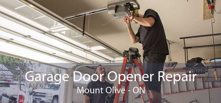 Garage Door Opener Repair Mount Olive - ON