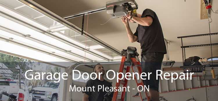 Garage Door Opener Repair Mount Pleasant - ON