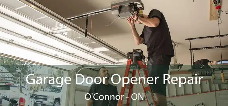  Garage Door Opener Repair O'Connor - ON