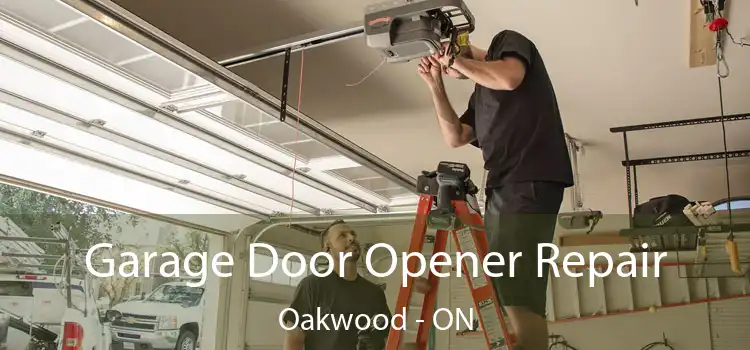  Garage Door Opener Repair Oakwood - ON