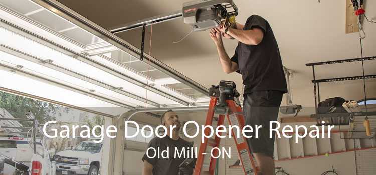 Garage Door Opener Repair Old Mill - ON